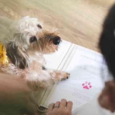 ザ クラシカ ベイリゾート 【肉球サイン】愛犬がおふたりの結婚証明書に、肉球スタンプを。多彩な演出盛り沢山