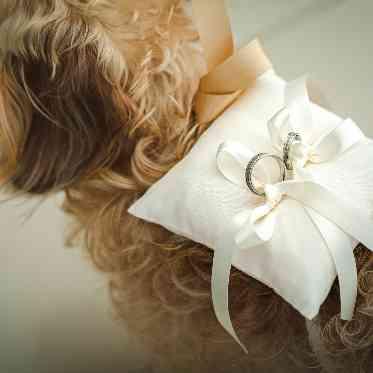 ザ クラシカ ベイリゾート ふたりが交換する結婚指輪を運んでくれるセレモニー「リングドッグ」