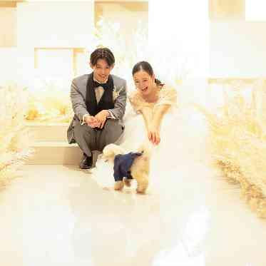 ザ クラシカ ベイリゾート リングドックも!