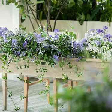 ザ クラシカ ベイリゾート 一生に一度の特別な日を、おふたりらしく華やかに彩る。