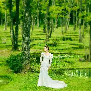 ザ クラシカ ベイリゾート 世界各国から厳選されたデザイン性の高いウエディングドレス