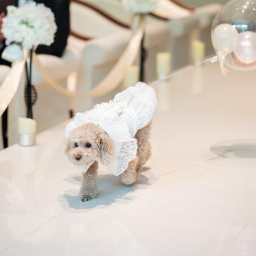 大切な家族の一員“ワンちゃん”参加OK!