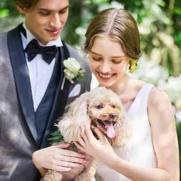 Accord Herbe(アコールハーブ)●BRASSグループ 家族の一員のペットと一緒の結婚式も叶う♪