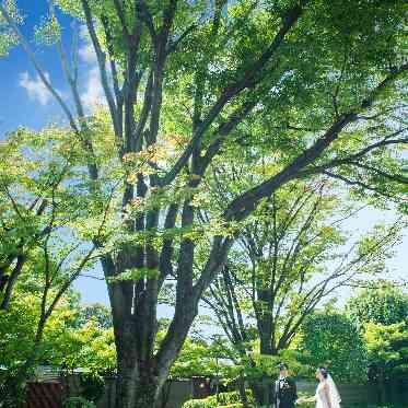 有栖川清水 緑あふれる1400坪の庭園は絶好の写真スポット