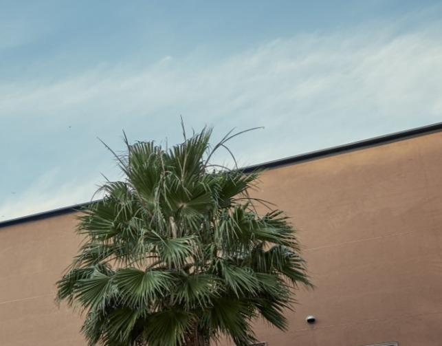 WEEKEND HOUSE ガーデン