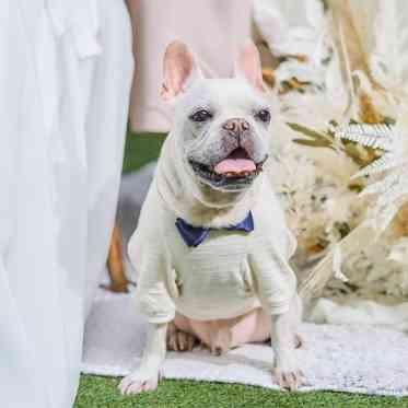 ATOLL TERRASSE 鴨川(アトール テラス カモガワ)●BRASSグループ アトールテラス鴨川は貸切なのでペットの参加可能!ゲージの貸出しやお部屋のご用意も