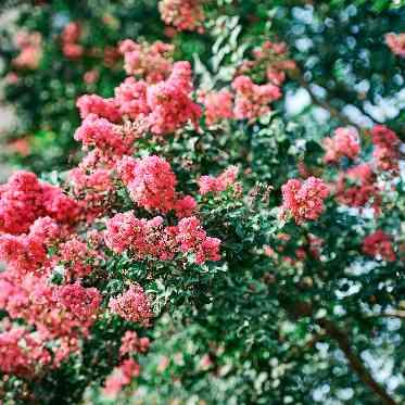 ATOLL TERRASSE 鴨川(アトール テラス カモガワ)●BRASSグループ 四季の移ろいを楽しむことができるロケーション