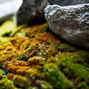 ATOLL TERRASSE 鴨川(アトール テラス カモガワ)●BRASSグループ 街並みと建物に馴染む和の要素を取り入れて