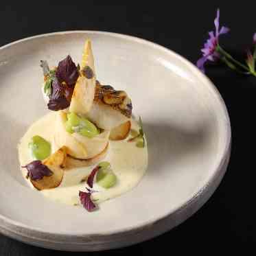 ATOLL TERRASSE 鴨川(アトール テラス カモガワ)●BRASSグループ 京野菜×フレンチ