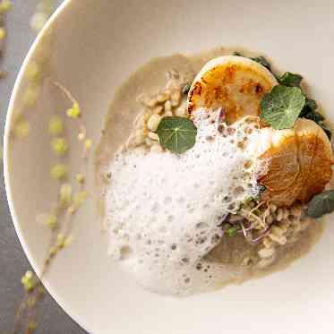 THE TOWER HOTEL NAGOYA(ザタワーホテルナゴヤ) 見た目も美しい料理の数々はさらに感動深まる美食時間に