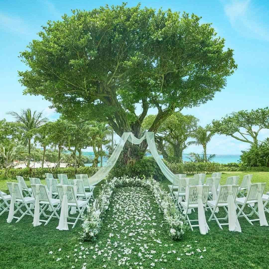 テヤン / 地場衛 ウエディングバージョン KIYOKO HATA WEDDINGS OKAYAMA | 岡山・倉敷の結婚衣裳レンタル