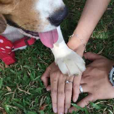 POPCORN KOBE (ポップコーン神戸) ペットも家族の一員。ポップコーン神戸ならずっと一緒に過ごせます。