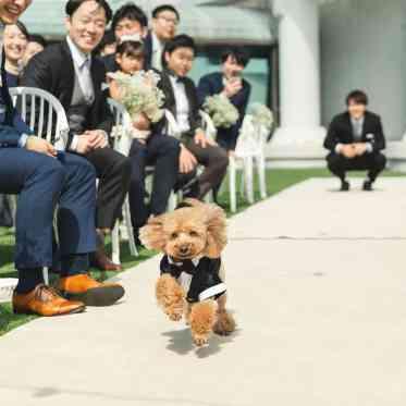 OCEAN PLACE リングドックで走り抜ける愛犬にゲストも大喜び♪