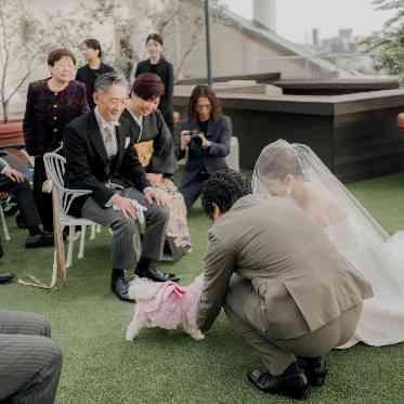 OCEAN PLACE 大役を果たした愛犬。たくさん褒めてあげて