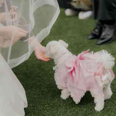 OCEAN PLACE こっそりごはん。