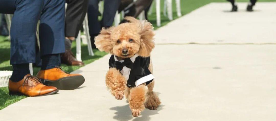 OCEAN PLACE 挙式会場