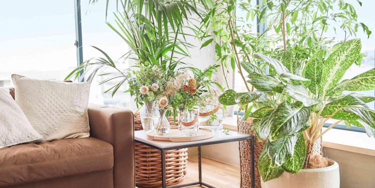 OCEAN PLACE 披露宴会場