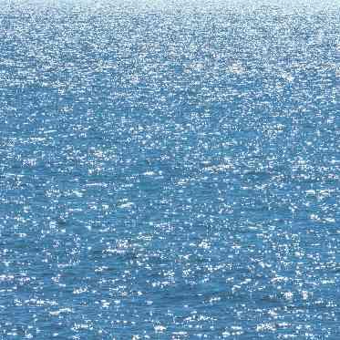 オーシャンプレイス OCEAN PLACE きらきらする港の海も眺めることができる