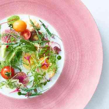 The Opera(オペラ) 自社農家の採れたて野菜が美しい前菜