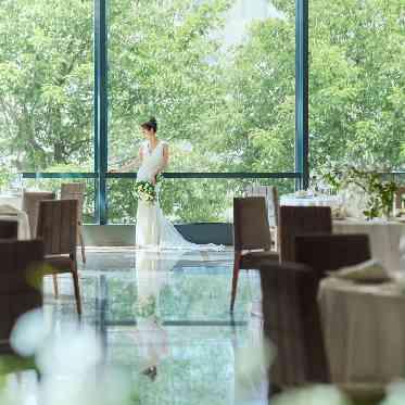 アニヴェルセル 表参道 表参道らしいケヤキ並木