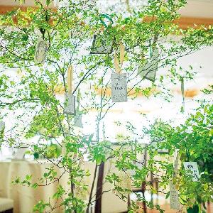 ウェディングホール ラ・ボア・ラクテ 会場の雰囲気に合わせてナチュラルに