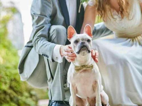 Rouge Blanc(ルージュ:ブラン) ●BRASSグループ 挙式会場