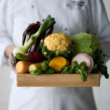 SCAPES THE SUITE(スケープス ザ スィート) 旬の地野菜を使って織りなす料理