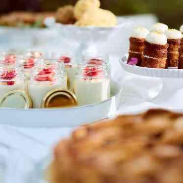 SCAPES THE SUITE(スケープス ザ スィート) .