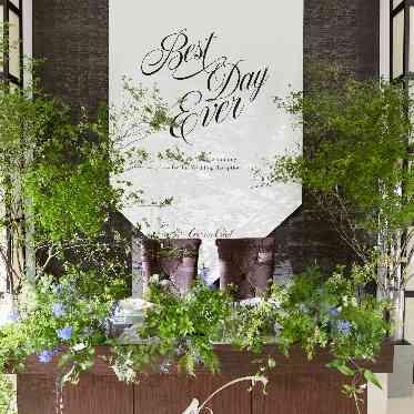 アルカンシエル横浜 luxemariage コーディネート