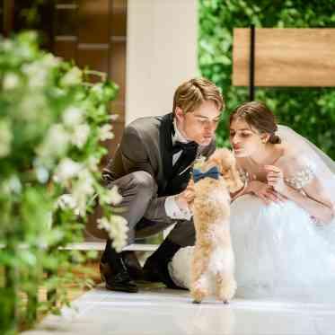 Argent Parme(アージェントパルム) ●BRASSグループ ペット参加もOK