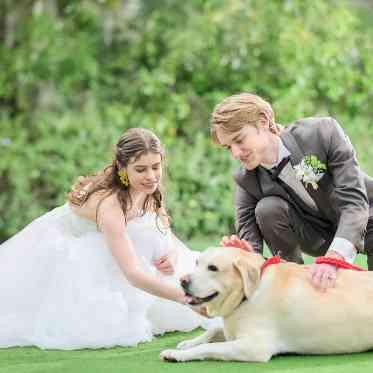 Argent Parme(アージェントパルム) ●BRASSグループ ペットと一緒に♪