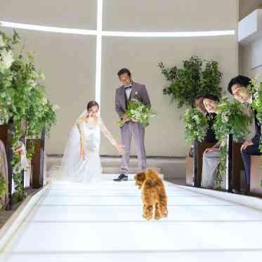 AILE d’ANGE garden(エル・ダンジュ ガーデン) 愛犬も一緒に!リングドックも叶う