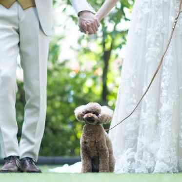 AILE d’ANGE garden(エル・ダンジュ ガーデン) ワンちゃんと一緒に1日過ごせる