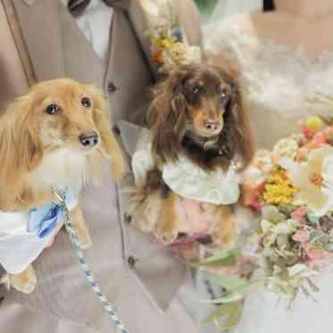 AILE d’ANGE garden(エル・ダンジュ ガーデン) わんちゃんと一緒に記念撮影