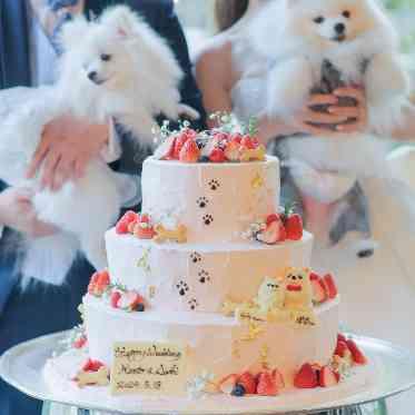 AILE d’ANGE garden(エル・ダンジュ ガーデン) わんちゃんをイメージしたウェディングケーキ