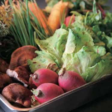 AILE d’ANGE garden(エル・ダンジュ ガーデン) お野菜も無農薬の畑で作る新鮮なものを