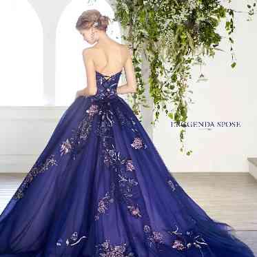 AILE d’ANGE garden(エル・ダンジュ ガーデン) ブルードレス