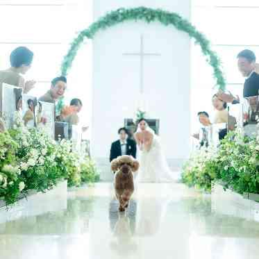 AILE d’ANGE NAGOYA(エル・ダンジュ ナゴヤ) 大切な一日は、わんちゃんも一緒に参加して♪