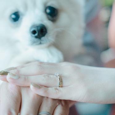 AILE d’ANGE NAGOYA(エル・ダンジュ ナゴヤ) わんちゃんと1日一緒に過ごせる