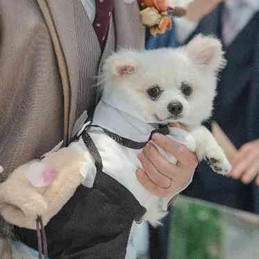 AILE d’ANGE NAGOYA(エル・ダンジュ ナゴヤ) 提携のショップでワンチャンのお洋服も準備して