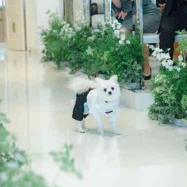 AILE d’ANGE NAGOYA(エル・ダンジュ ナゴヤ) リングドック 中には、思わずゲストからの笑顔も溢れる