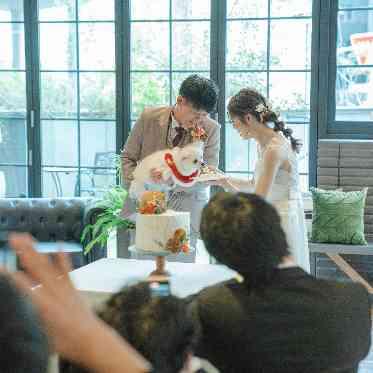 AILE d’ANGE NAGOYA(エル・ダンジュ ナゴヤ) 挙式だけではなく、披露宴中も愛犬と一緒に。ケーキ入刀も愛犬と共に