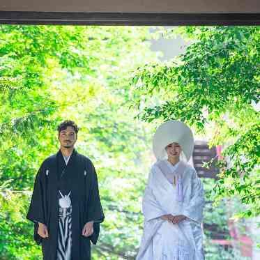 東郷神社・ルアール東郷 神社の境内では緑が豊かなので素敵な写真を残せます。
