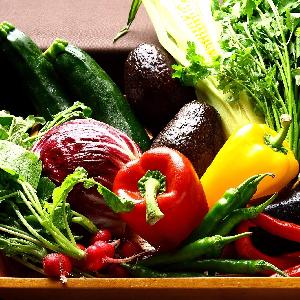 日本各地から取り寄せられた旬のこだわり食材