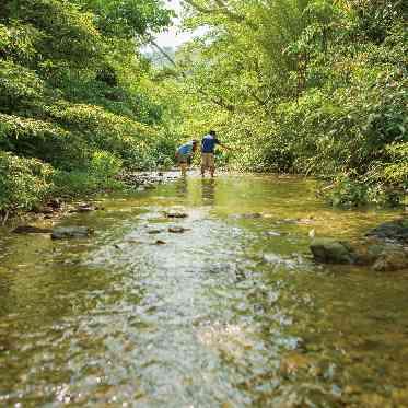 太陽が彩る自然の教会/アールイズ・ウエディング ホテルステイ