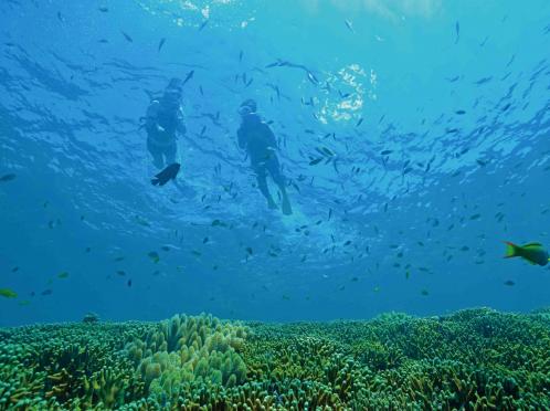 太陽が彩る自然の教会/アールイズ・ウエディング 外観