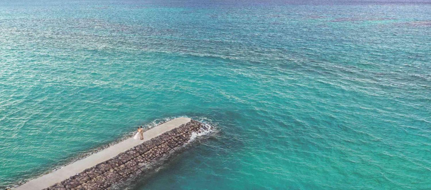 太陽が彩る自然の教会/アールイズ・ウエディング ガーデン