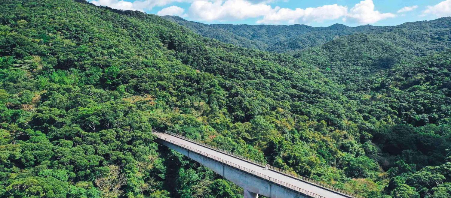 太陽が彩る自然の教会/アールイズ・ウエディング ガーデン