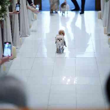 アーカンジェル代官山/テイクアンドギヴ・ニーズウェディング リングドックが可能