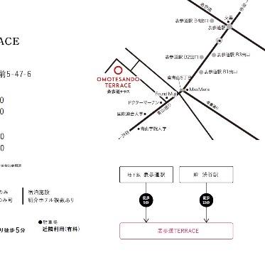 表参道TERRACE/テイクアンドギヴ・ニーズウェディング 表参道駅徒歩5分の好立地